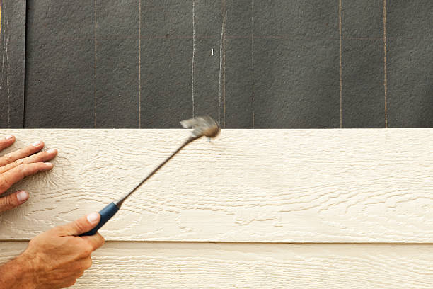 Best Siding Painting and Refinishing  in Eutaw, AL